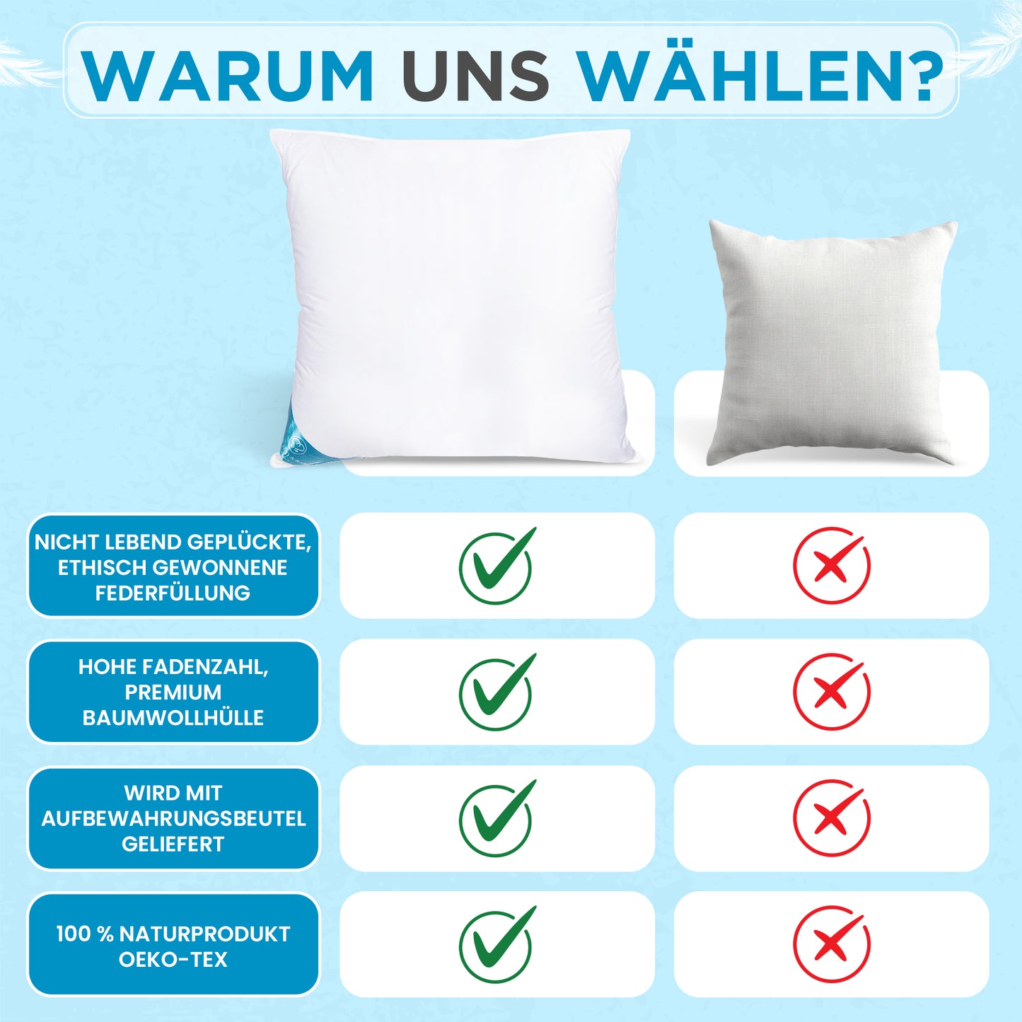 2000 gr Kissen | 100% FEDERFÜLLUNG | 80 x 80 cm