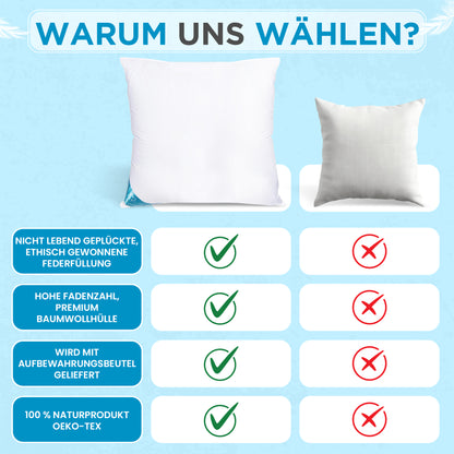 2000 gr Kissen | 100% FEDERFÜLLUNG | 80 x 80 cm